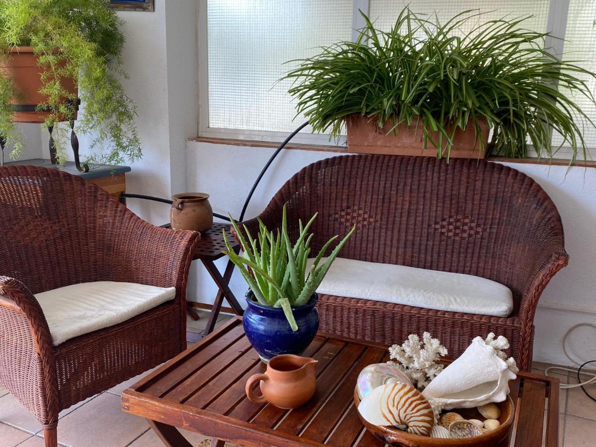 דירות La Mejor Terraza De טאמאריו מראה חיצוני תמונה